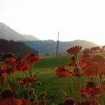 Hirterhuette Familie Gsenger 度假居 阿布特瑙