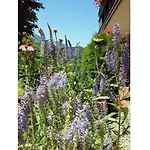度假居 Hirterhuette Familie Gsenger