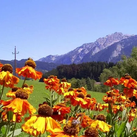 Hirterhuette Familie Gsenger Abtenau