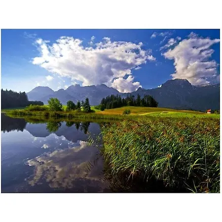 Hirterhuette Familie Gsenger Holiday home *