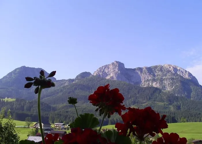 別荘 Hirterhuette Familie Gsenger *