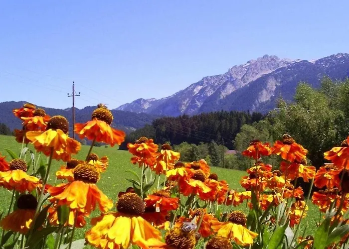 Hirterhuette Familie Gsenger アプテナウ