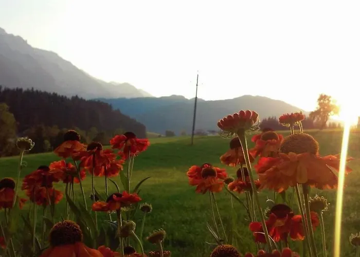 Hirterhuette Familie Gsenger 別荘 アプテナウ