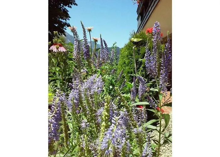 Dom wakacyjny Hirterhuette Familie Gsenger