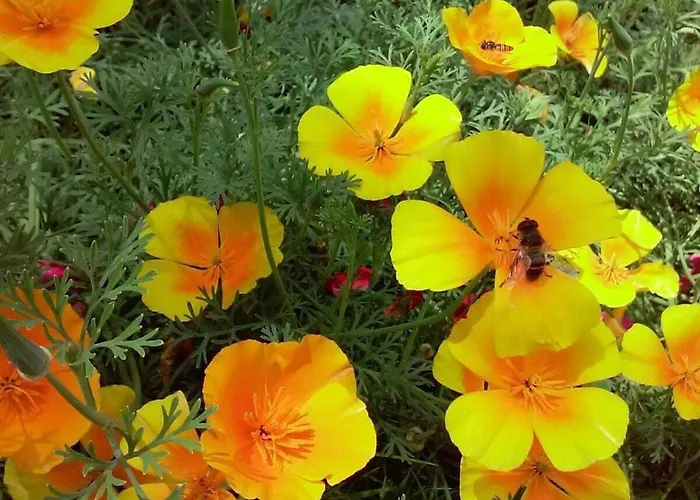 Dom wakacyjny Hirterhuette Familie Gsenger Abtenau